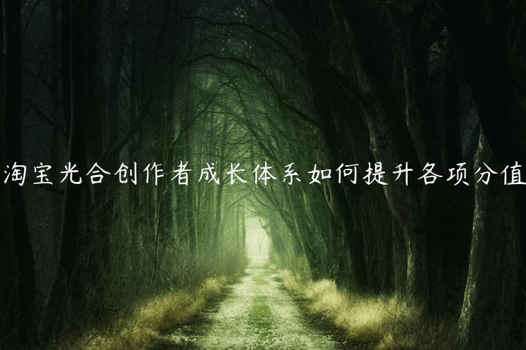 淘寶光合創(chuàng)作者成長(zhǎng)體系如何提升各項(xiàng)分值